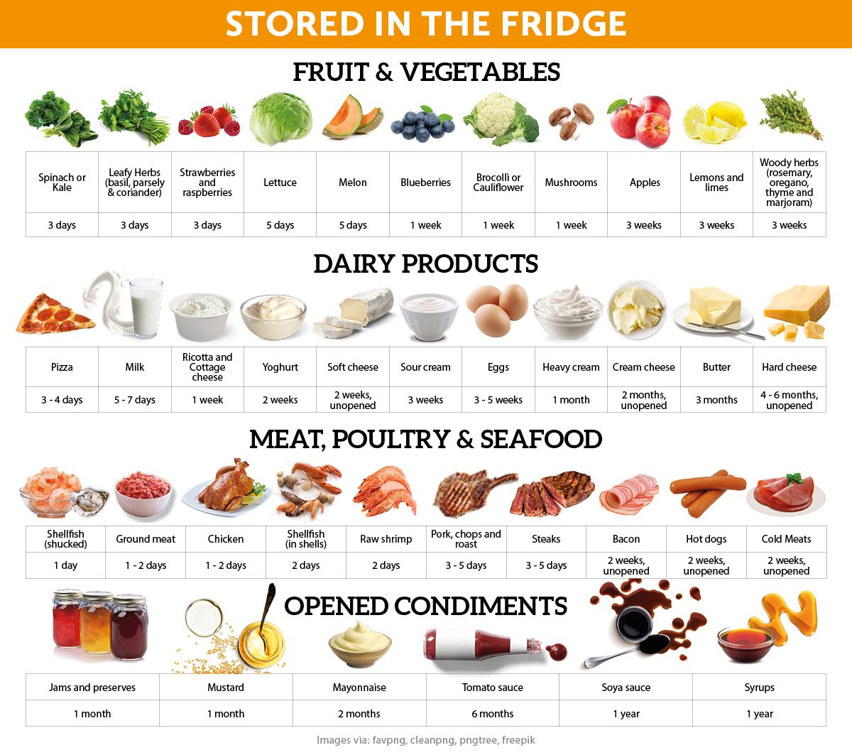 Storing food in the fridge
